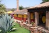 BLUE AGAVE TEQUILA TOUR