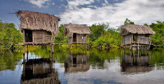 San Blas jungle tour